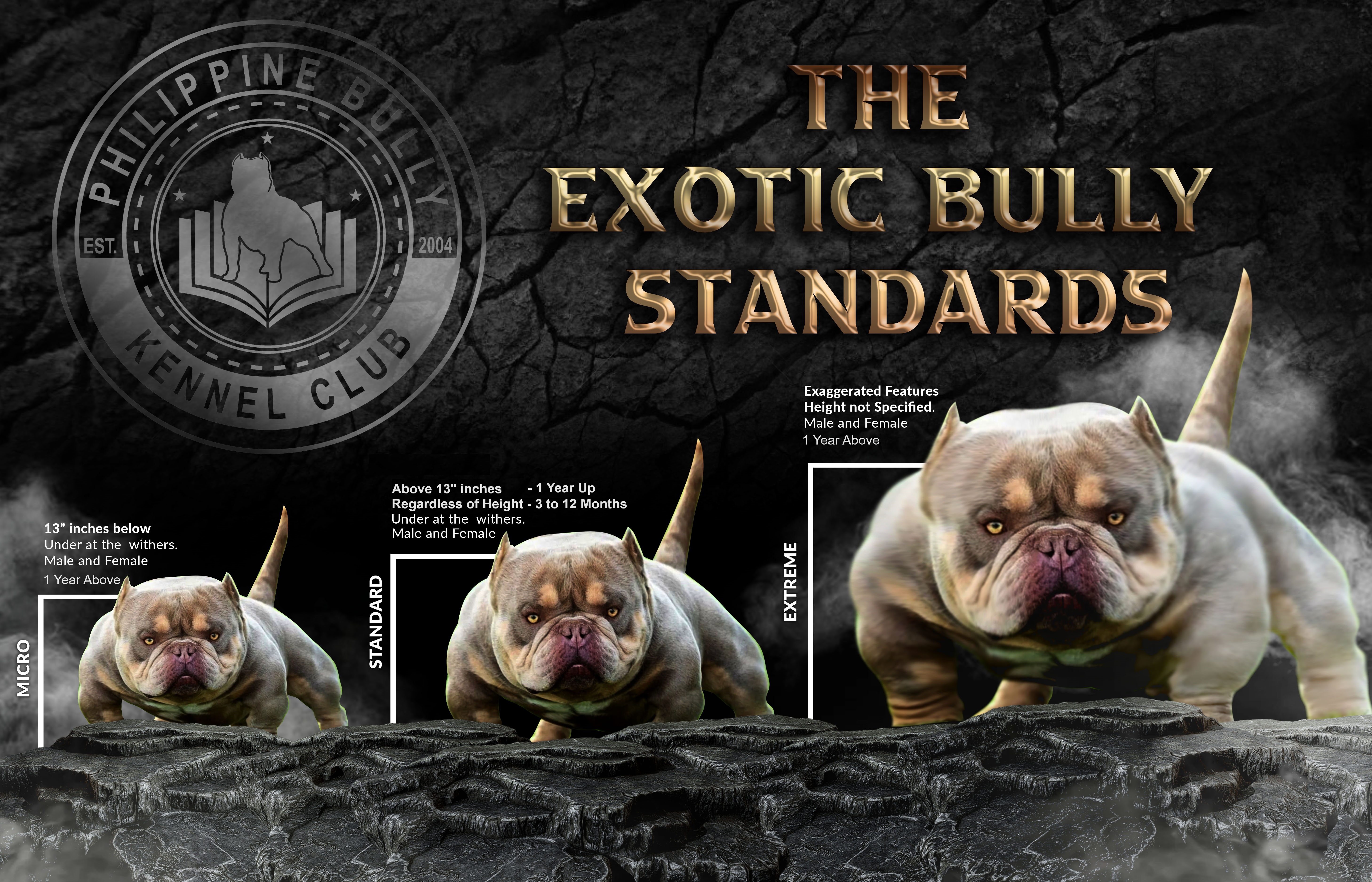 Miniature Exotic Bully Dog Registration