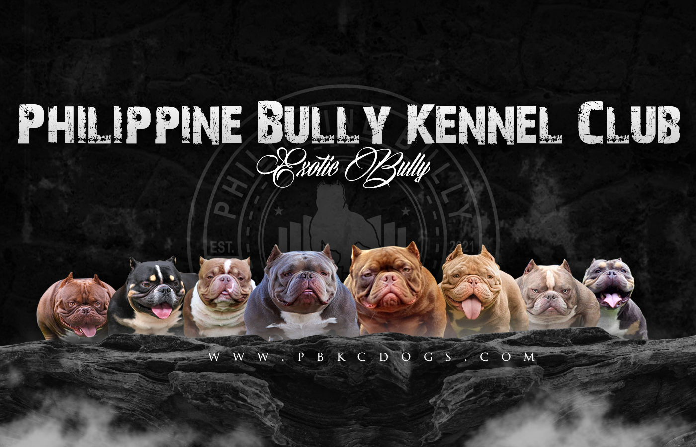 Philippine Bully Kennel Club